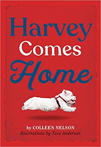 Harvey Comes Home-Winner of the Pre-Teen Fiction Category!